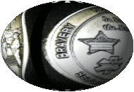 Honor Guard Coin Logo
